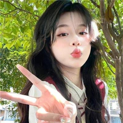 系统破坏者